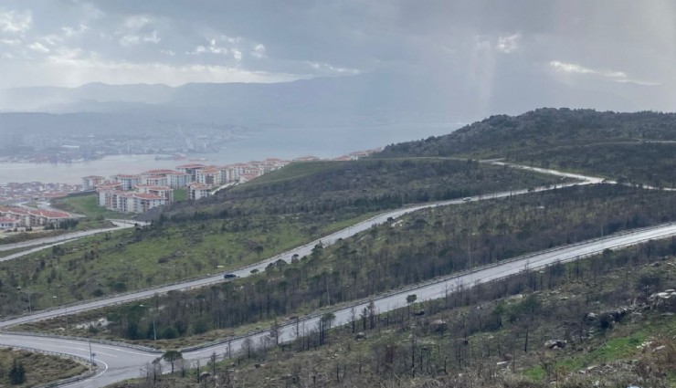Bayraklı’daki yanan orman için Danıştay keşfi: İzmir yeniden afet riskiyle karşı karşıya