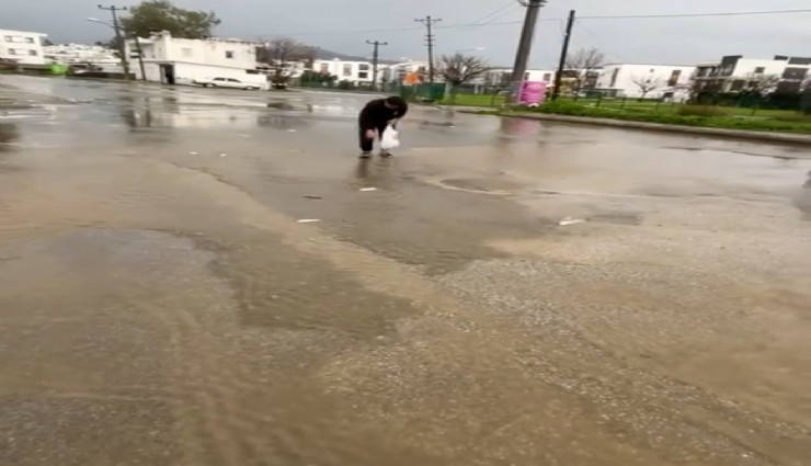Bodrum’da sağanak baskını: Gölet taştı, asfalta balık yağdı