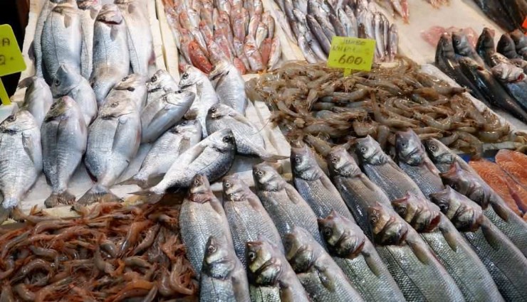 İşte 10 Şubat balık hali fiyatları