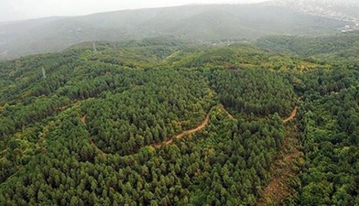 İzmir’de Kemalpaşa Çambel Mahallesi’ndeki alan orman sınırları dışına çıkarıldı