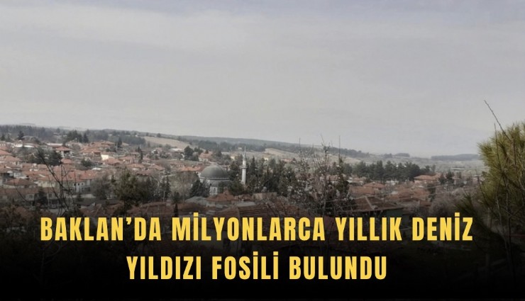 Baklan’da milyonlarca yıllık deniz yıldızı fosili bulundu