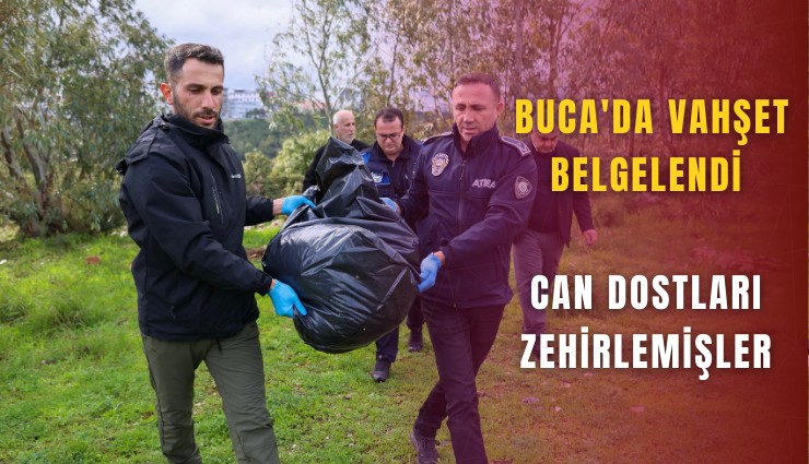 Buca'da vahşet belgelendi: Can dostları zehirlemişler