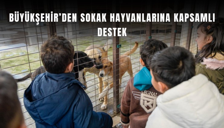 Büyükşehir’den sokak hayvanlarına kapsamlı destek