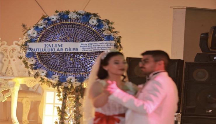 Falım’ın manisi gerçek Oodu