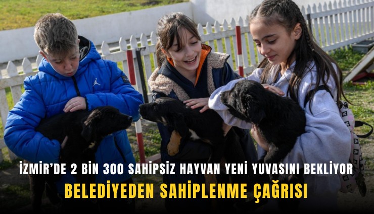 İzmir’de 2 bin 300 sahipsiz hayvan yeni yuvasını bekliyor: Belediyeden sahiplenme çağrısı