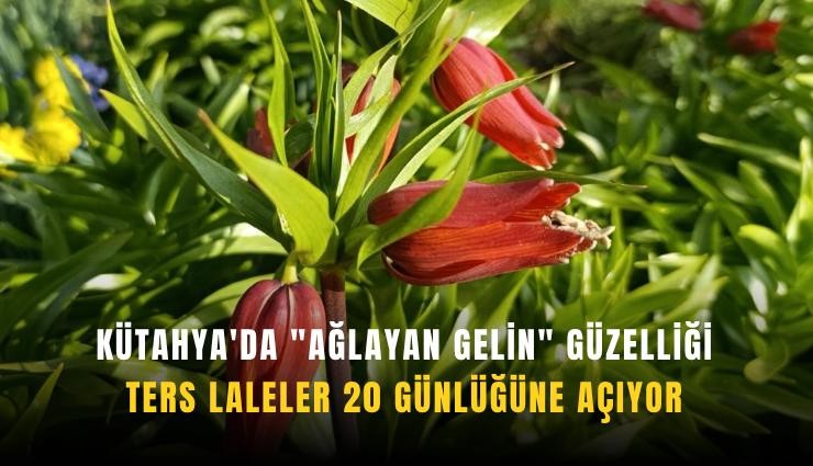 Kütahya'da 