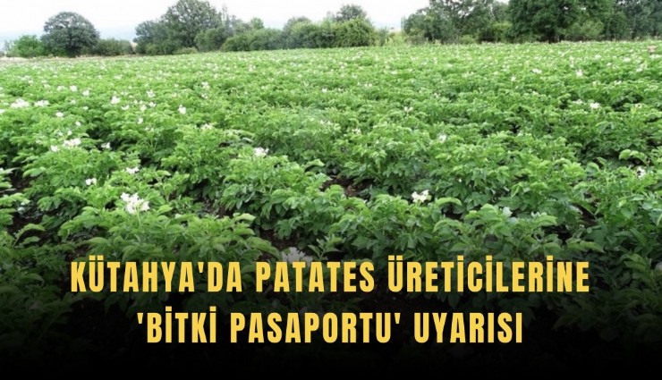 Kütahya'da patates üreticilerine 'Bitki Pasaportu' uyarısı