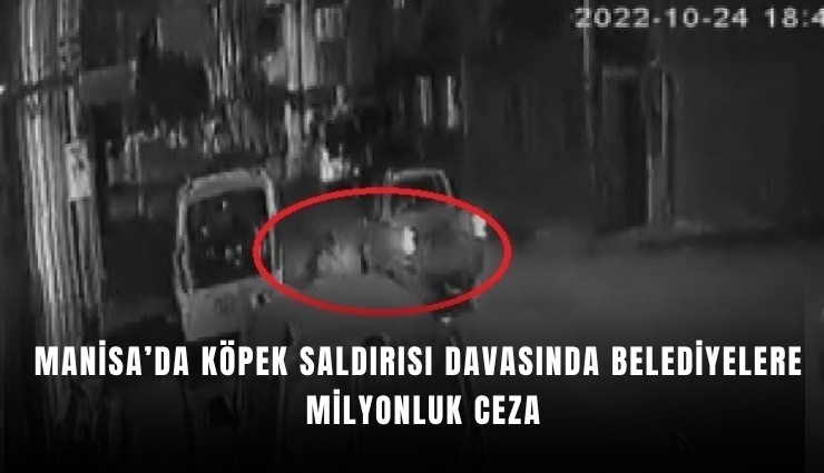 Manisa’da köpek saldırısı davasında belediyelere milyonluk ceza