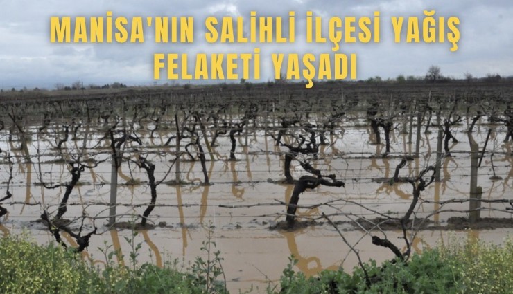 Manisa'nın Salihli ilçesi yağış felaketi yaşadı
