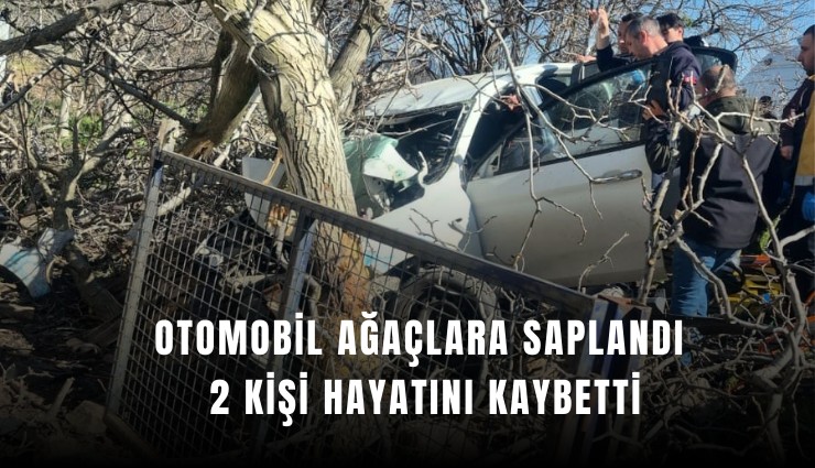 Otomobil ağaçlara saplandı, 2 kişi hayatını kaybetti