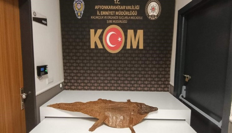Polis durdurduğu araçta timsah derisi ele geçirdi