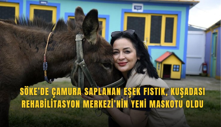 Söke’de çamura saplanan eşek Fıstık, Kuşadası Rehabilitasyon Merkezi’nin yeni maskotu oldu
