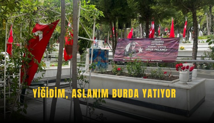 Yiğidim, aslanım burda yatıyor