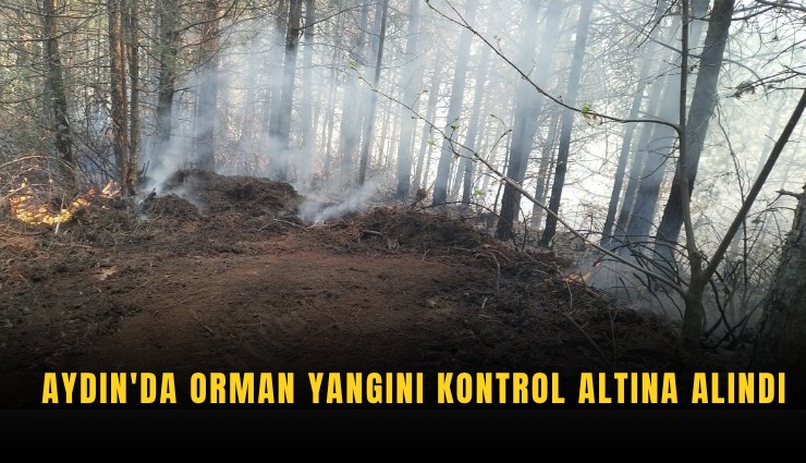 Aydın'da orman yangını kontrol altına alındı