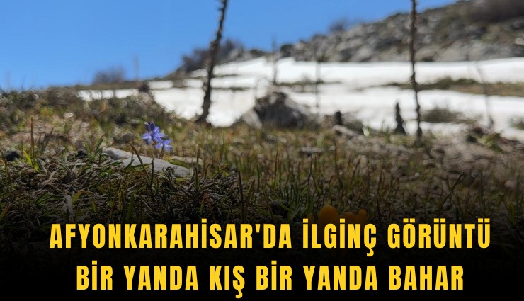 Bir yanda kış bir yanda bahar