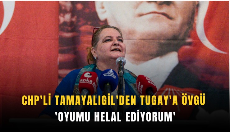 CHP'li Tamayalıgil'den Tugay'a övgü: 'Oyumu helal ediyorum'