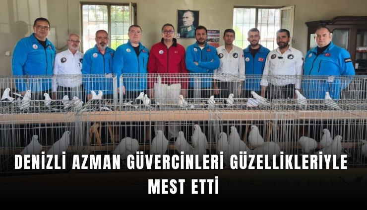 Denizli azman güvercinleri güzellikleriyle mest etti