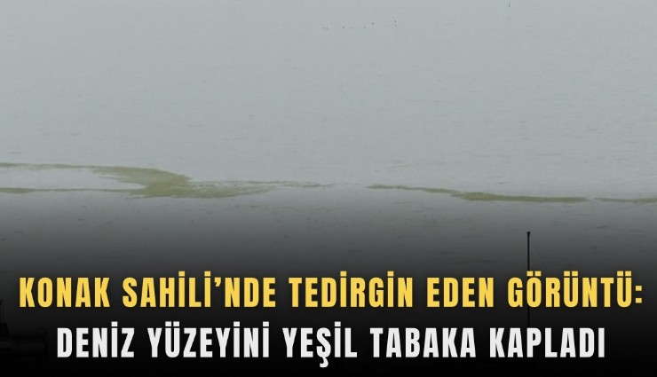 Konak Sahili’nde tedirgin eden görüntü: Deniz yüzeyini yeşil tabaka kapladı