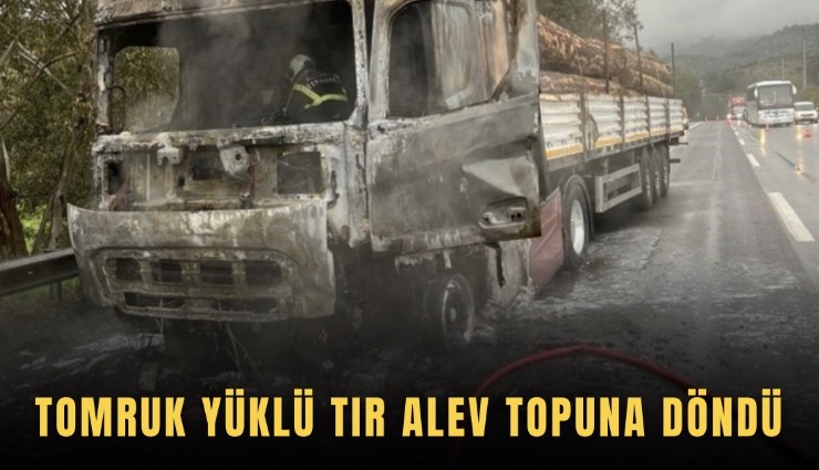 Tomruk yüklü tır alev topuna döndü