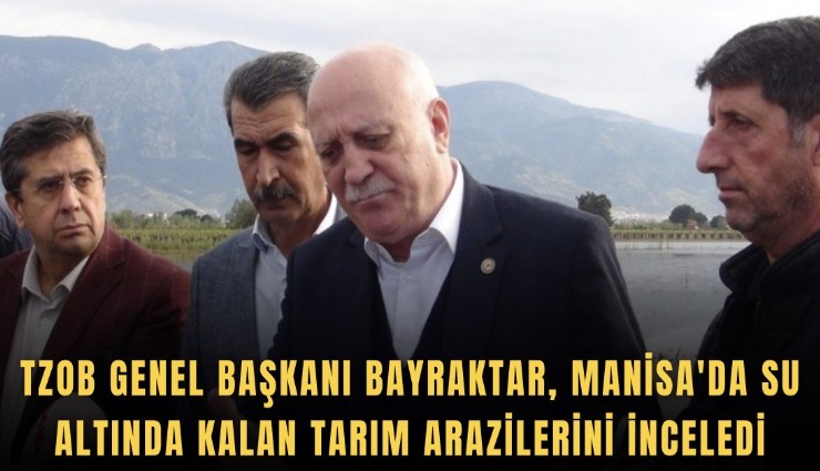 TZOB Genel Başkanı Bayraktar, Manisa'da su altında kalan tarım arazilerini inceledi
