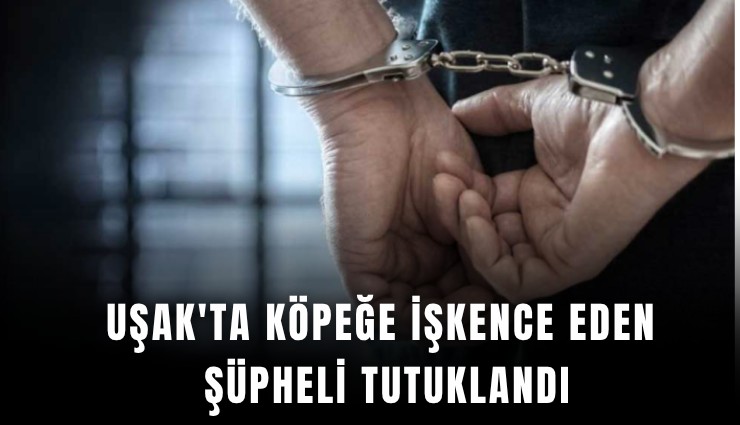 Uşak'ta köpeğe işkence eden şüpheli tutuklandı
