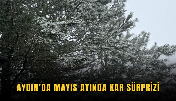 Aydın’da Mayıs ayında kar sürprizi