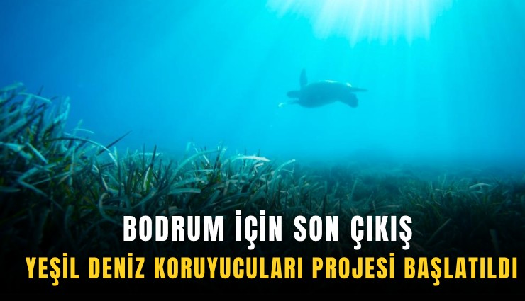Bodrum için son çıkış: Yeşil deniz koruyucuları projesi başlatıldı