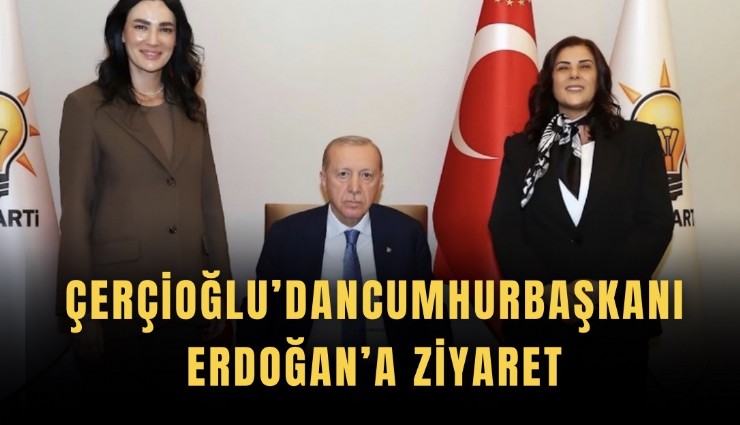 Çerçioğlu’ndan Cumhurbaşkanı Erdoğan’a ziyaret