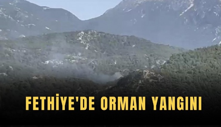 Fethiye'de orman yangını