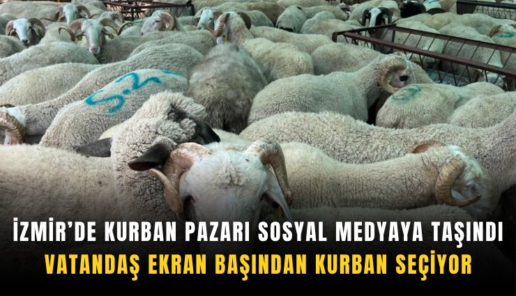İzmir’de kurban pazarı sosyal medyaya taşındı: Vatandaş ekran başından kurban seçiyor