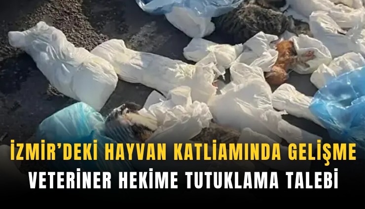 İzmir’deki hayvan katliamında gelişme: Veteriner hekime tutuklama talebi