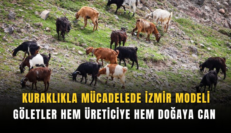 Kuraklıkla mücadelede İzmir modeli: Göletler hem üreticiye hem doğaya can