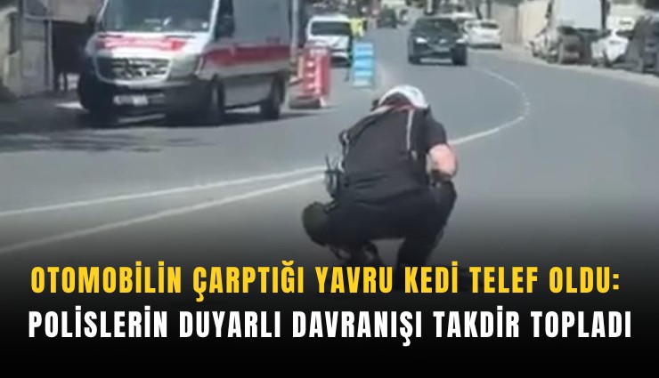 Otomobilin çarptığı yavru kedi telef oldu: Polislerin duyarlı davranışı takdir topladı