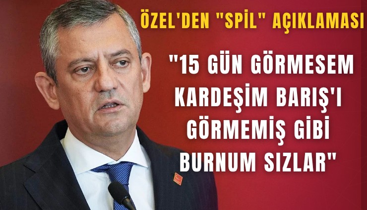 Özel'den ''Spil'' açıklaması: ''15 gün görmesem kardeşim Barış'ı görmemiş gibi burnum sızlar''