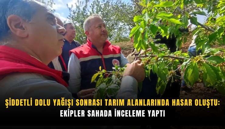 Şiddetli dolu yağışı sonrası tarım alanlarında hasar oluştu