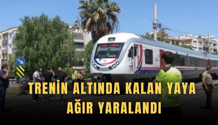 Trenin altında kalan yaya ağır yaralandı