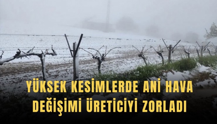 Yüksek kesimlerde ani hava değişimi üreticiyi zorladı