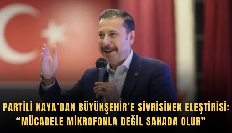 AK Partili Kaya’dan Büyükşehir’e sivrisinek eleştirisi: Mücadele mikrofonla değil sahada olur