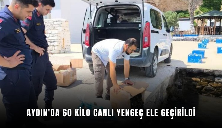 Aydın'da 60 kilo canlı yengeç ele geçirildi