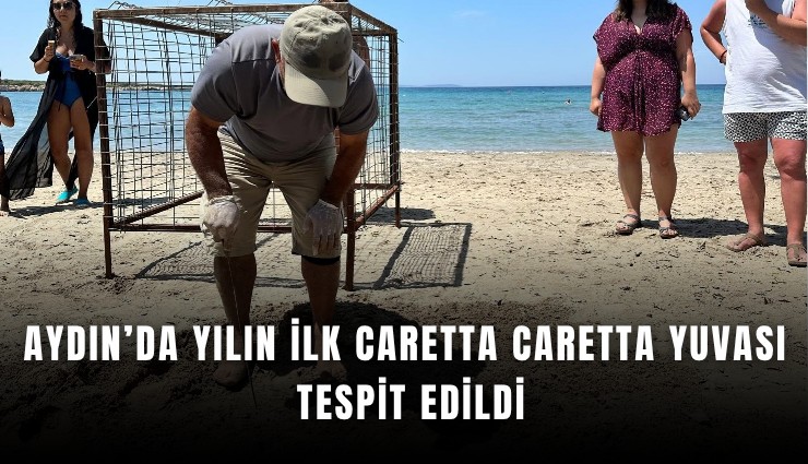 Aydın’da yılın ilk Caretta Caretta yuvası tespit edildi