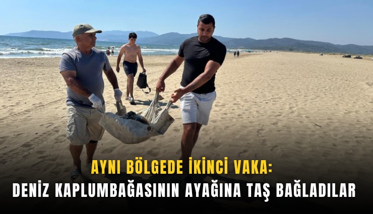 Aynı bölgede ikinci vaka: Deniz kaplumbağasının ayağına taş bağladılar