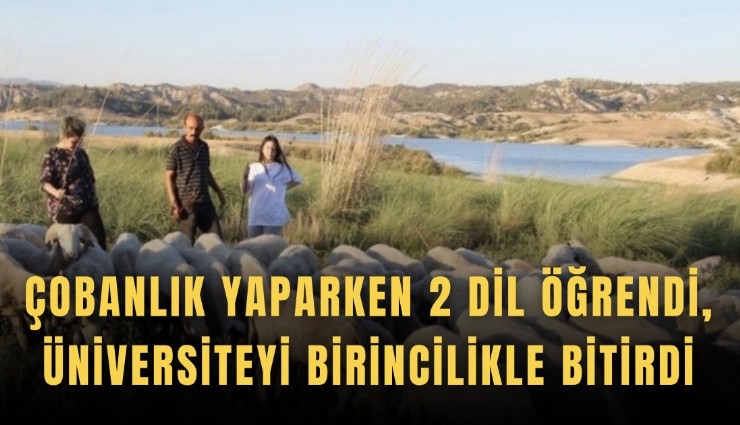 Çobanlık yaparken 2 dil öğrendi, üniversiteyi birincilikle bitirdi