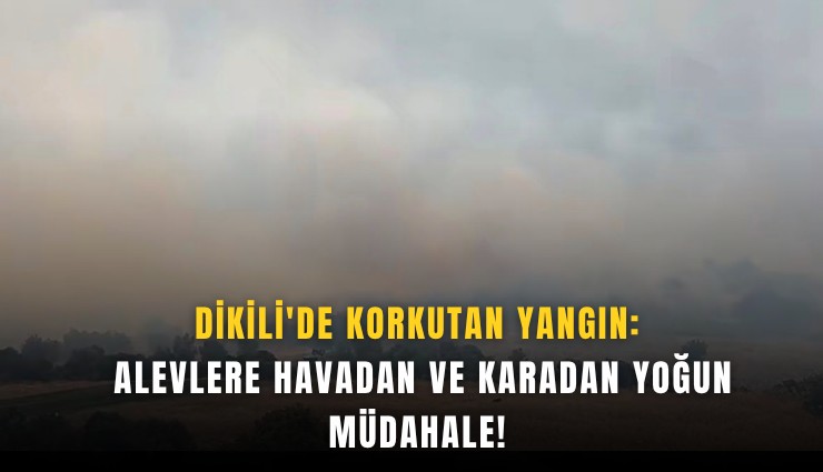 Dikili'de korkutan yangın: alevlere havadan ve karadan yoğun müdahale!