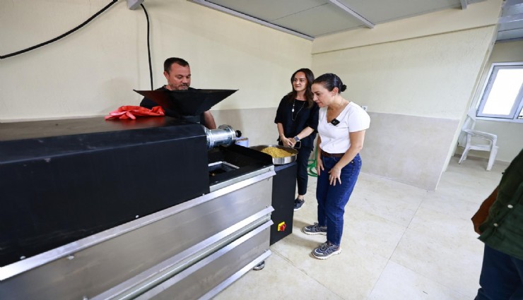 Efes Selçuk'ta atık yemekler mama parkuruna, mamalar can dostlarına gidiyor