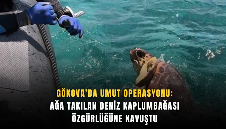 Gökova’da umut operasyonu: Ağa takılan deniz kaplumbağası özgürlüğüne kavuştu