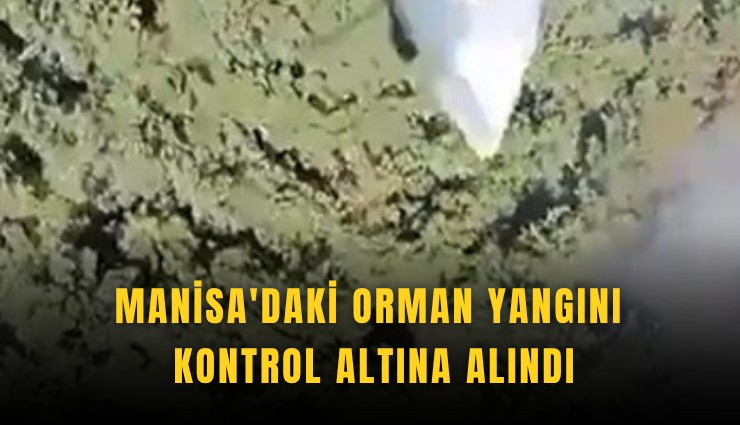Manisa'daki orman yangını kontrol altına alındı