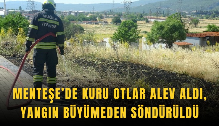 Menteşe’de kuru otlar alev aldı, yangın büyümeden söndürüldü