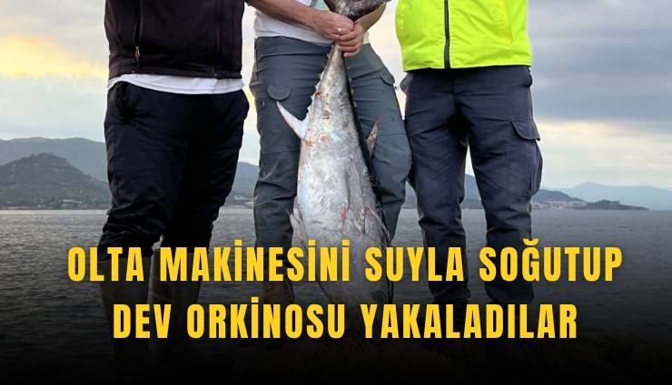 Olta makinesini suyla soğutup dev orkinosu yakaladılar