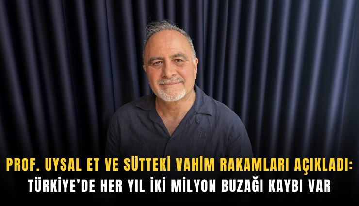Prof. Uysal et ve sütteki vahim rakamları açıkladı: Türkiye’de her yıl iki milyon buzağı kaybı var