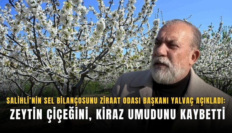Salihli’nin sel bilançosunu Ziraat Odası Başkanı Yalvaç açıkladı:Zeytin çiçeğini, kiraz umudunu kaybetti